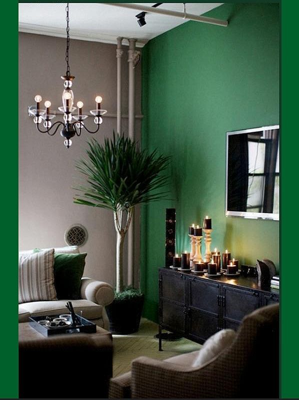 #tv room #emerald walls  #summer house
