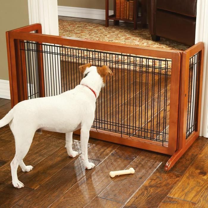 Dog gates that need no special installation—and won't damage walls or