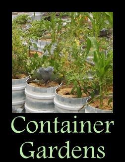 RHGS Outdoor & Gardening Blog: Urban Container Gardens