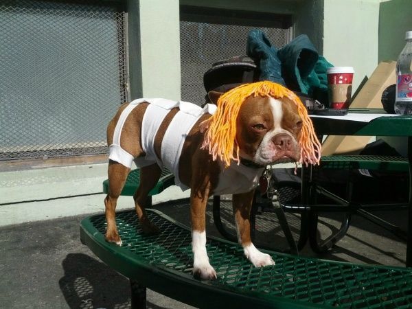 The Best FIFTH ELEMENT Cosplay Ever