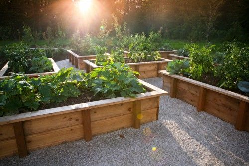 Another nice vegetable garden idea. We chose wood chips rather than gravel to fi