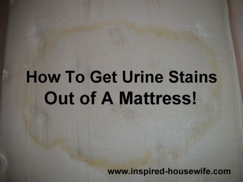 Mattress Pee Stain Removal….one pinned says also works on blood, etc.  will ne