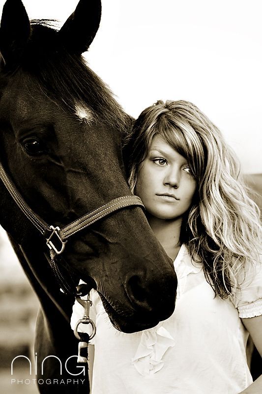horse photography #horse #equine #equestrian #animals #horse