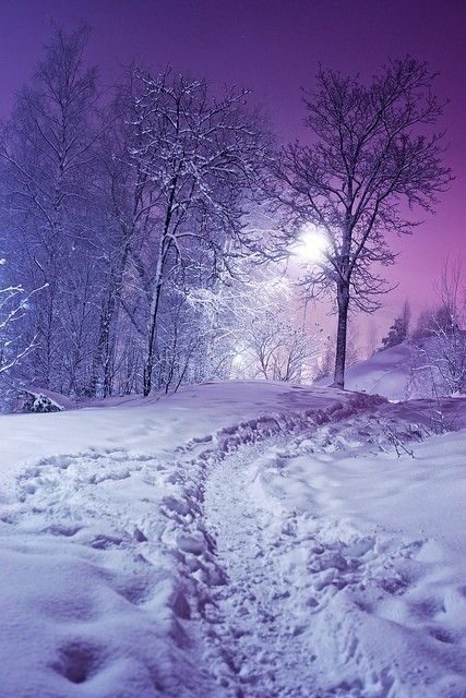 Pinks and purples, snow at night