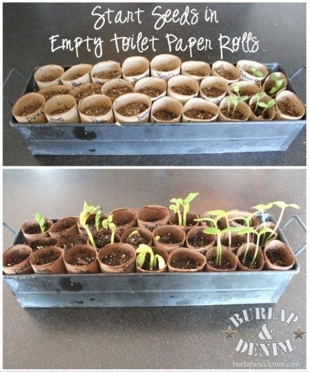 OH idea to recycle AND start my seeds? YES PLEASE! If I cant get a newspaper pot