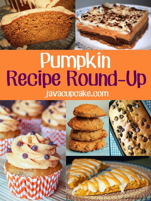 Pumpkin Recipe Round-Up! More than 20 delicious pumpkin recipes all from JavaCup