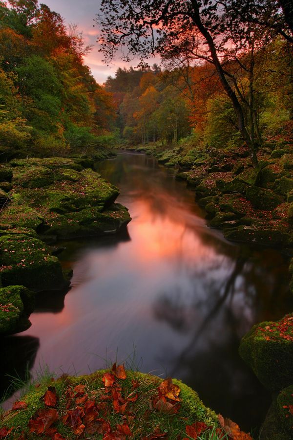 Slow stream in autumn – photo by Wolfy