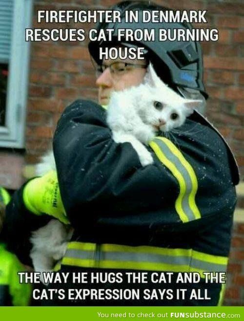 The cats expression breaks my heart. Faith in humanity restored