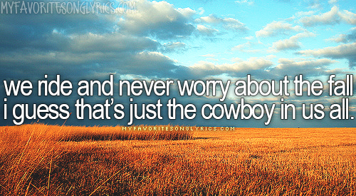 Tim McGraw – The Cowboy In Me