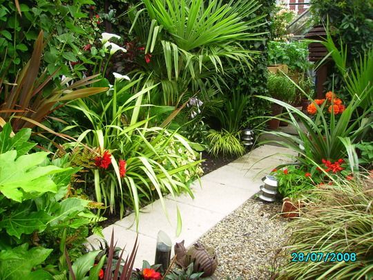 Tropical garden path