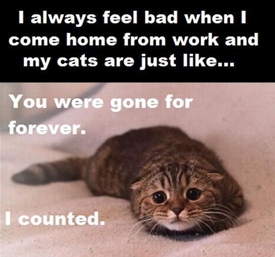 You were gone for forever…