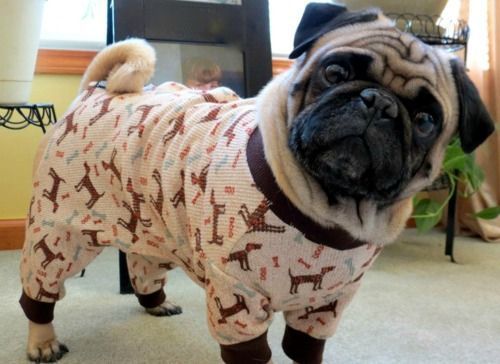 Are you laughing at my jammies?