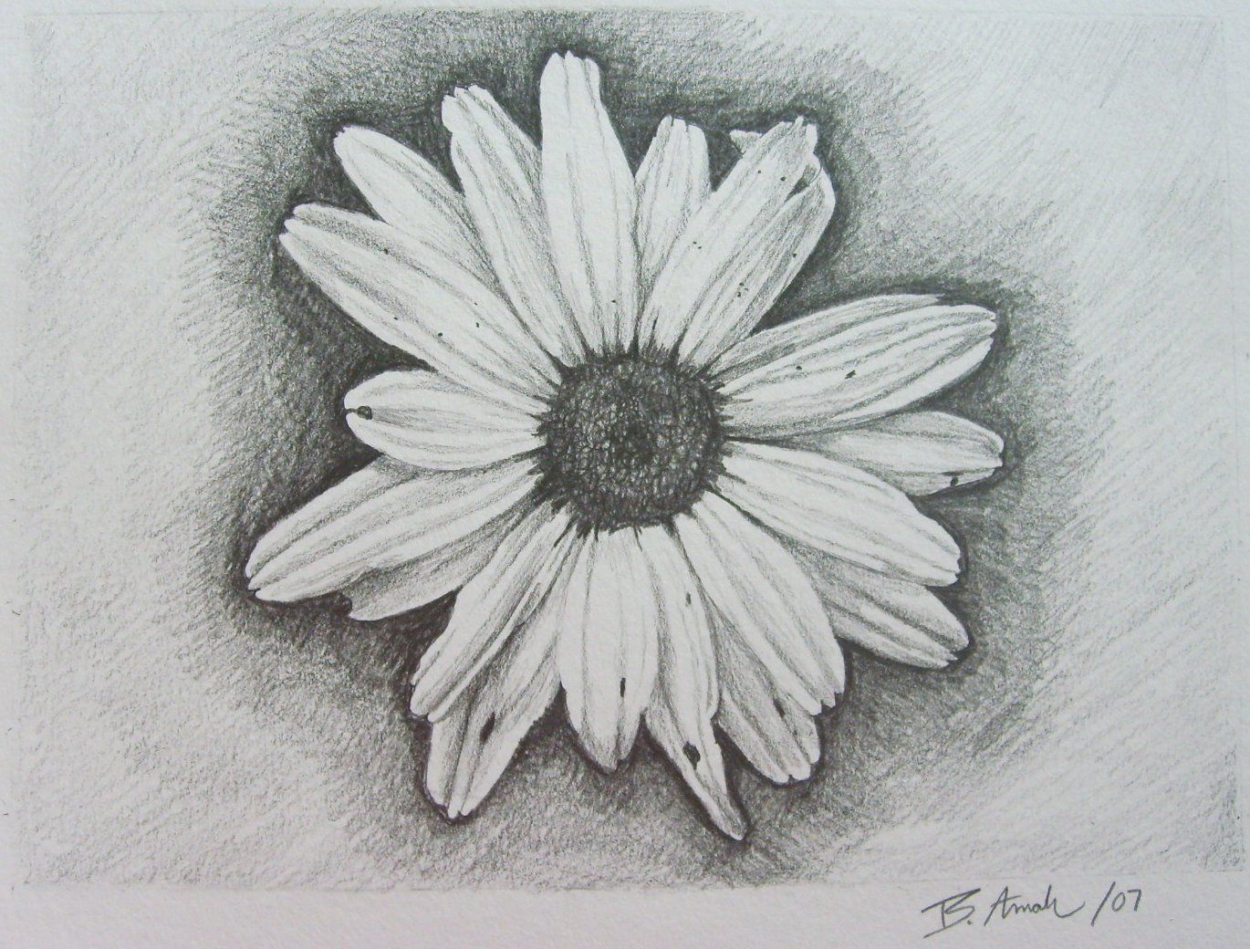 daisy tattoo designs -reminds me to be thankful for the littlest things in life