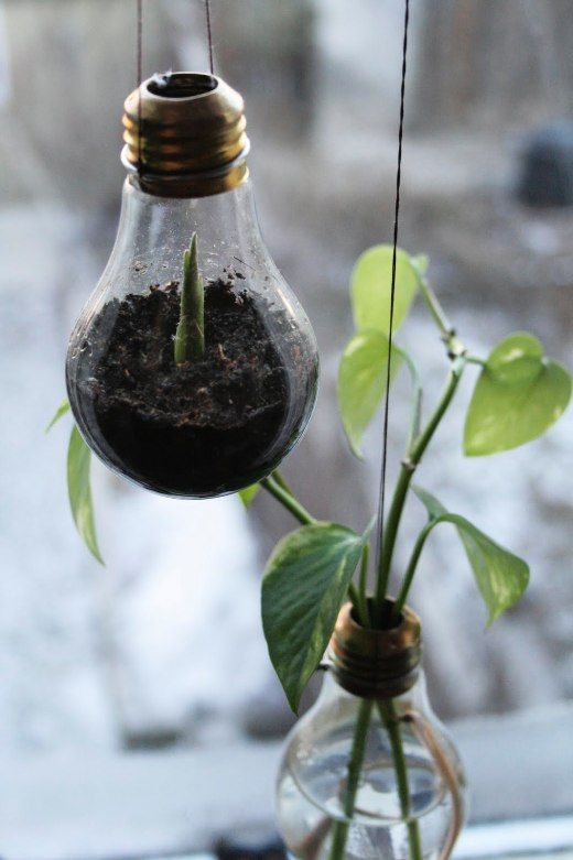 LOVE this idea!  So wish I would of thought this 100 burned out light bulbs ago!