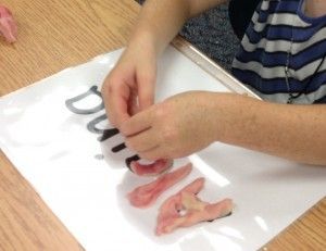 play dough names for letter and name work