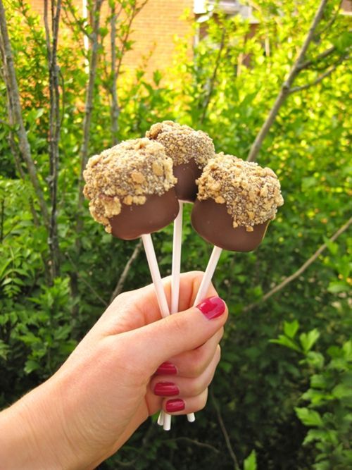 Smores Pops….ohhh good camping stuff   #wyndellpasch #paschrealestate #home #h