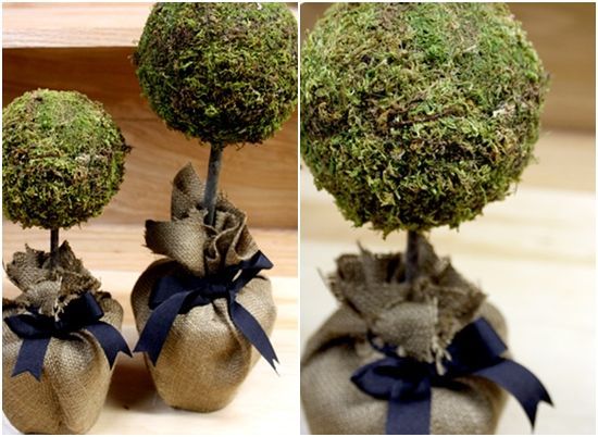 tin cans wrapped in burlap | Moss Topiary – 10 Magically Beautiful DIY Moss Craf