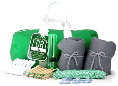 What a super ool birthday gift idea! Its a DIY Fort Kit. Make it for under $20!