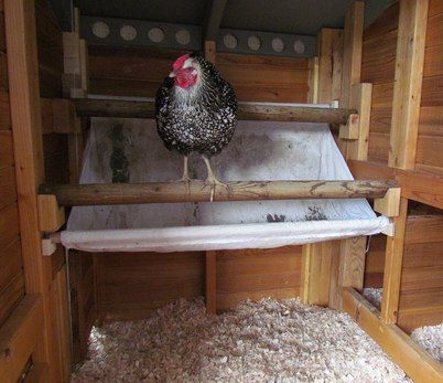 A version of a poop board. Clever for a small coop to keep the floor clean.