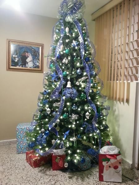 Christmas tree with blue ribbon