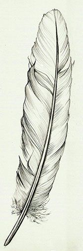 Feather {tattoo idea} love