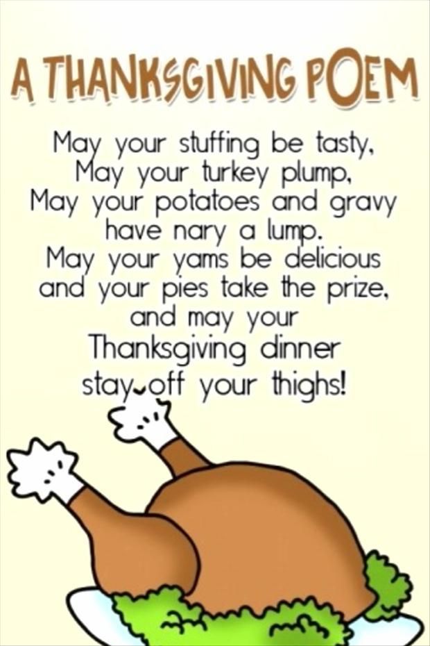 funny thanksgiving pictures (1)  message me for a plan to stay fit during the ho