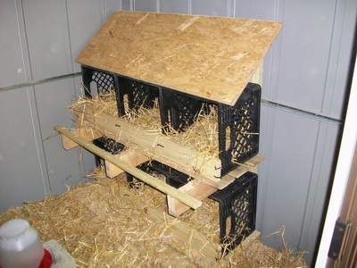 milk crate laying hen nests fm Building a Wood Shed from recycled wooden pallets