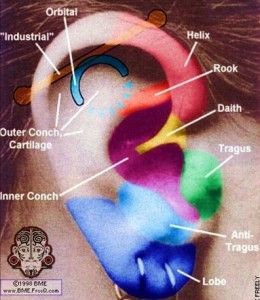 Piercings (I Want 2nd & 3rd In Lobes & My Tagus & Possibly Inner Conch)