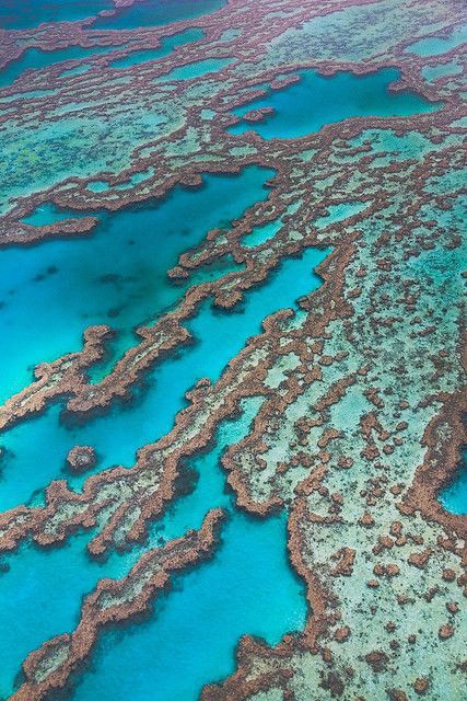 Great Barrier Reef – Queensland