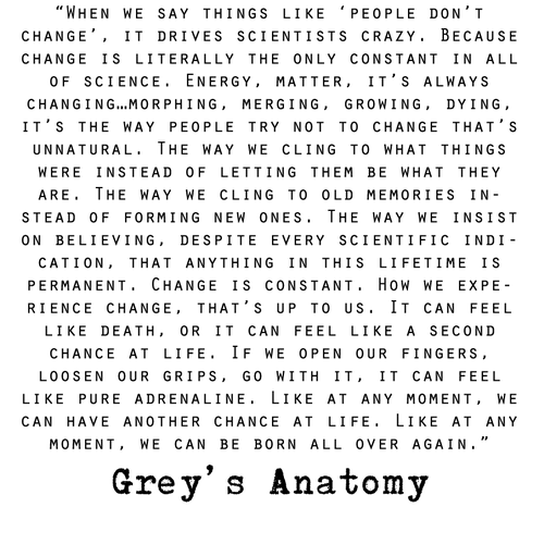 Greys Anatomy quote
