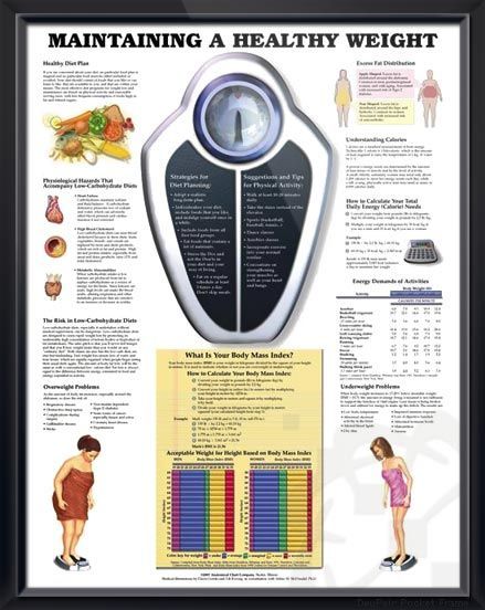 Maintain Healthy Weight anatomy poster briefly describes healthy diet plan, prov