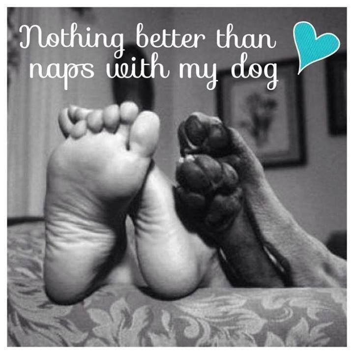 Naps with my dog..