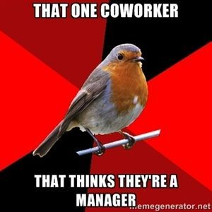 that one coworker that thinks theyre a manager | Retail Robin @Jacqui Dansereau