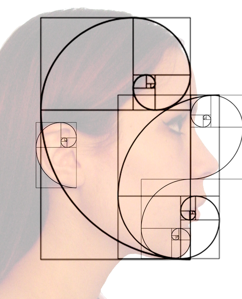 The Human Face contains many fibonacci ratios