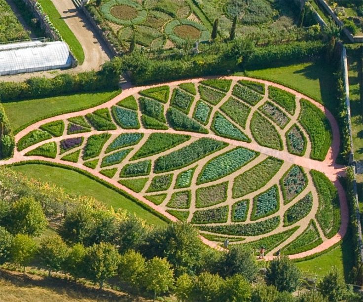 The vegetable garden of Abundance of la Chatonniere. Each segment of the leaf is