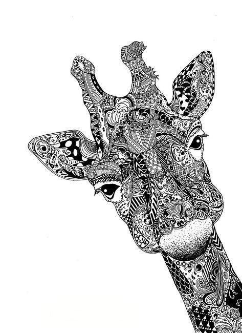 giraffe illustration caught my eye because of all the small details that make up