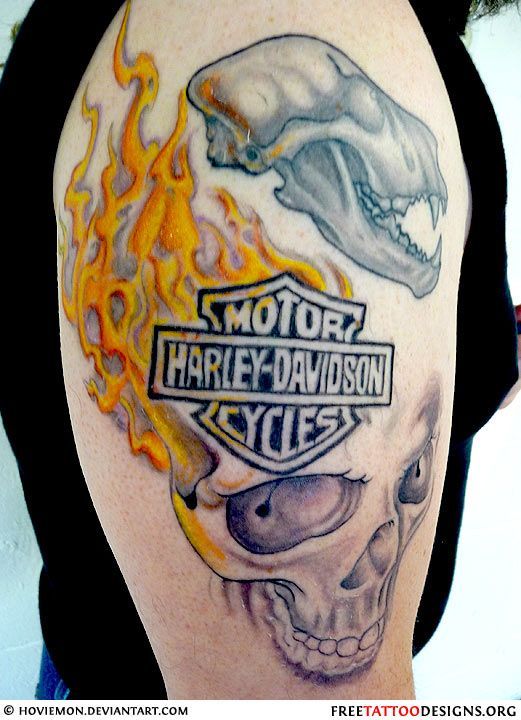 Harley Davidson, skull and flames tattoo