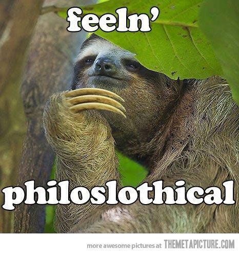 I cant see a sloth without thinking of Kristin Bell and cracking up.  Shes so cr