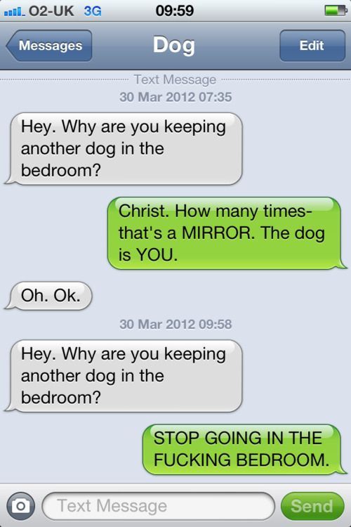 If you havent read “Texts From My Dog”, you are truly missing out on some funny