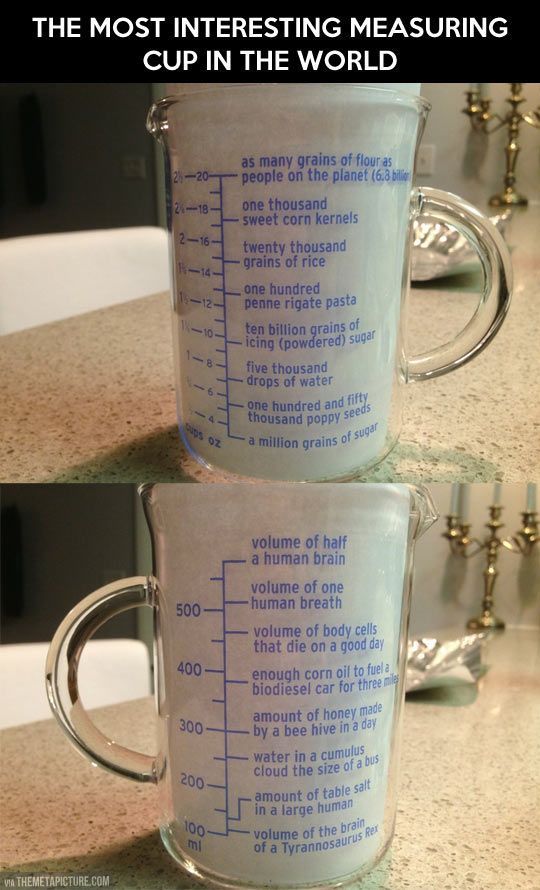 Most interesting measuring cup in the world a cross section of my love of cookin