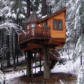 One day, I will have a magnificent and whimsical treehouse!