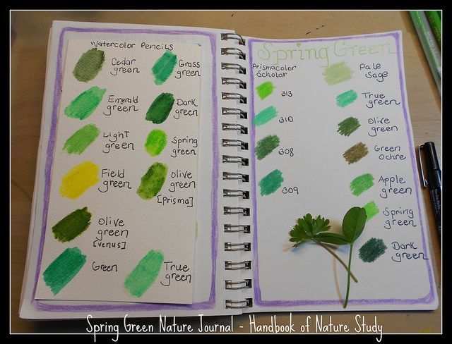 Spring nature journal idea – Spring Green from the Handbook of Nature Study.