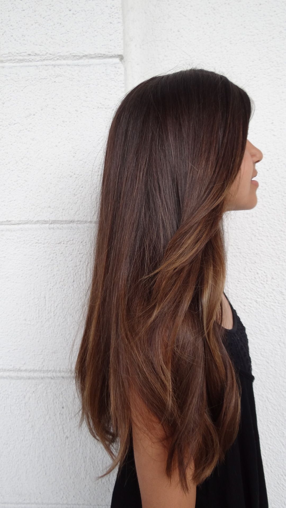 subtle brunette ombre. I always say I wouldnt color my hair unless it was the sl