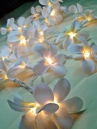 35 White Orchid Flower Fairy String Lights Wedding Party Floral Home Decor diy i
