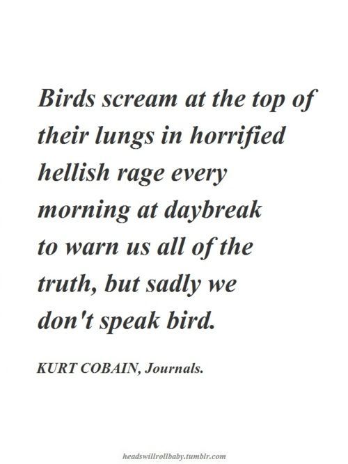 If this is the case, I’m actually ok with not speaking bird