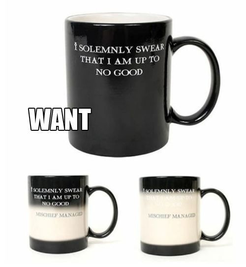 magic harry potter mug