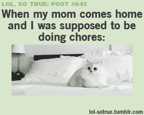 LOL SO TRUE POSTS – Funniest relatable posts on Tumblr.