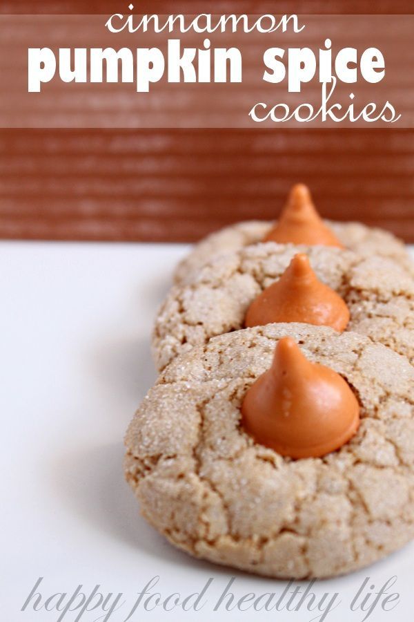 Cinnamon Pumpkin Spice Cookies – an autumn twist on a winter-time classic. Sure