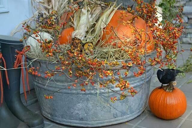fall decor | Fall Decor. Just saw these little metal pails at home depot..