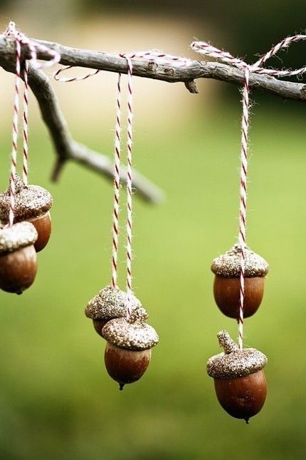 hanging acorns — take a branch and place in a vase then tie acorns on strings a